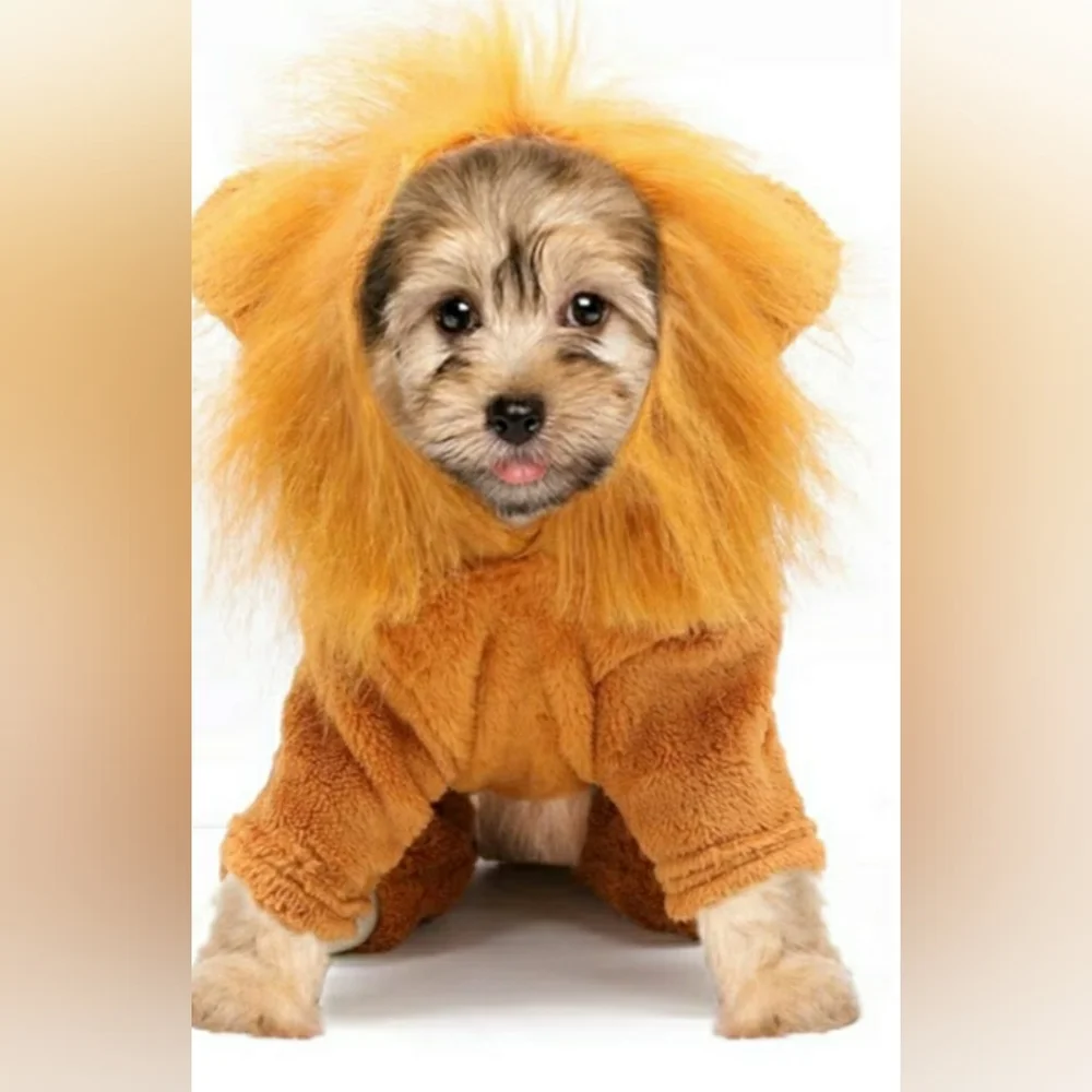 Rypet Dog Lion Costume Size M